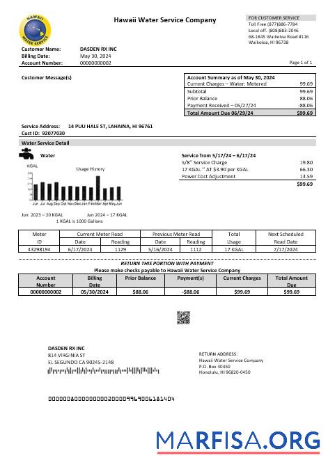 Realistic USA Hawaii Water Service Company business utility bill template in Word and PDF formats